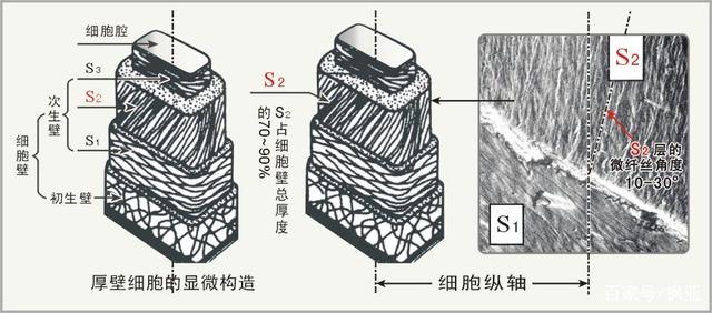 徐州古筝艺考培训